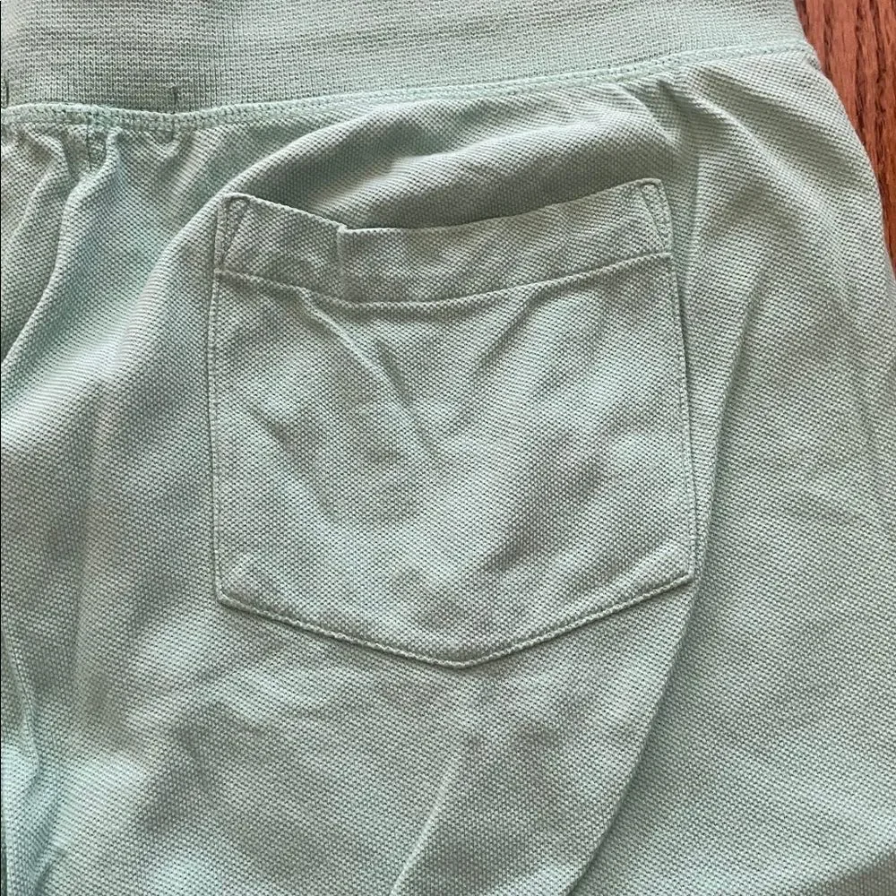 Polo Ralph Lauren Big Pony Mint Green Sz Small